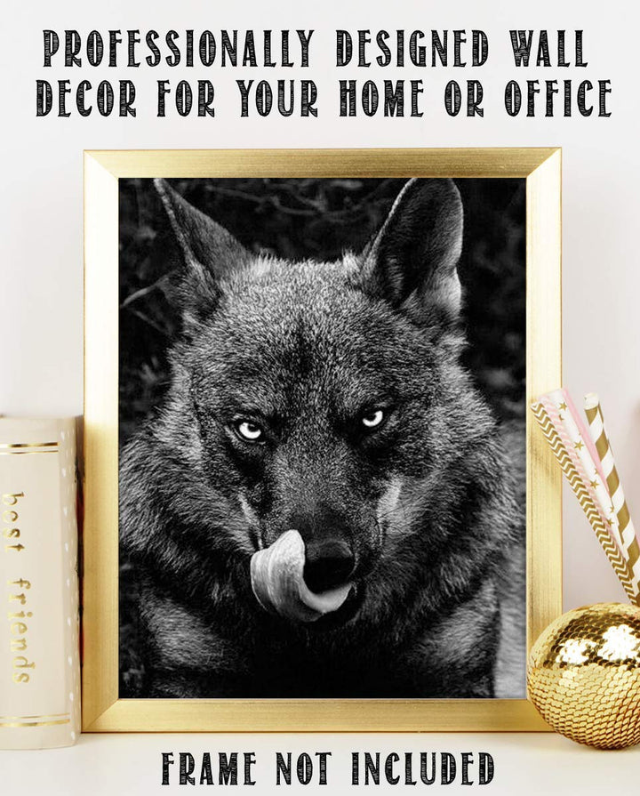 Ferocious Black Wolf- 8 x 10" Print Wall Art- Ready to Frame- Home D?cor, Office D?cor &amp; Wall Prints for Animal &amp; Hunting Theme Wall Decor. Great Gift For Those Who Feel the Call of the Wild!