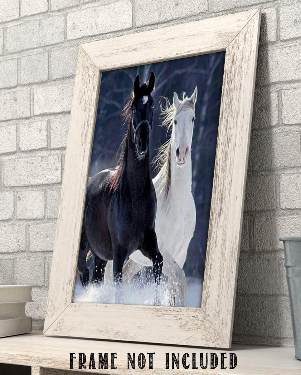 Horses Playing in Snow- 8 x 10" Print Wall Art-Ready to Frame. Beautiful Black &amp; White Horses Frolicking. Home-Office-Bar D?cor for Equestrian Themes &amp; Children&