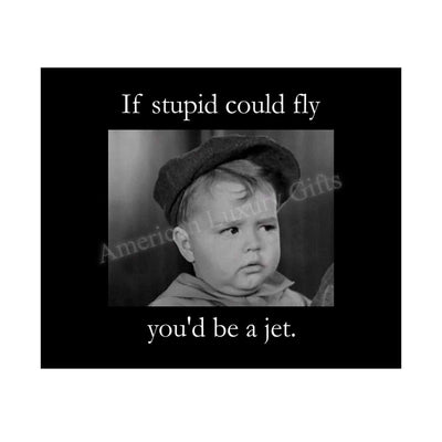 If Stupid Could Fly-You'd Be A Jet Funny Quotes Wall Art Sign -10x8" Sarcastic Poster Print-Ready to Frame. Humorous Home-Studio-Office-Desk-Cave Decor. Perfect Novelty Sign. Great Gift of Sarcasm!