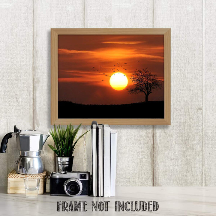 Sunset on African Plains- 8 x 10"- Print Wall Art- Ready to Frame. Home D?cor, Office D?cor &amp; Nursery Decor. Gorgeous Sunset with Tree &amp; Birds on Serengeti. Great Gift for Safari Lovers.