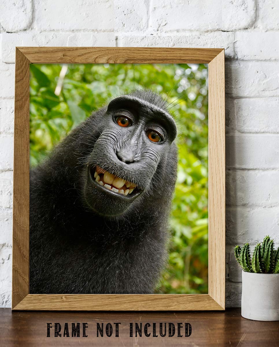 Smiling Monkey Selfie- 8 x 10" Print Wall Art- Ready to Frame- Home D?cor, Nursery D?cor &amp; Wall Prints for Animal Themes &amp; Children&