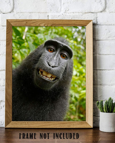 Smiling Monkey Selfie- 8 x 10" Print Wall Art- Ready to Frame- Home D?cor, Nursery D?cor & Wall Prints for Animal Themes & Children's Bedroom Wall Decor. Just Too Cute!