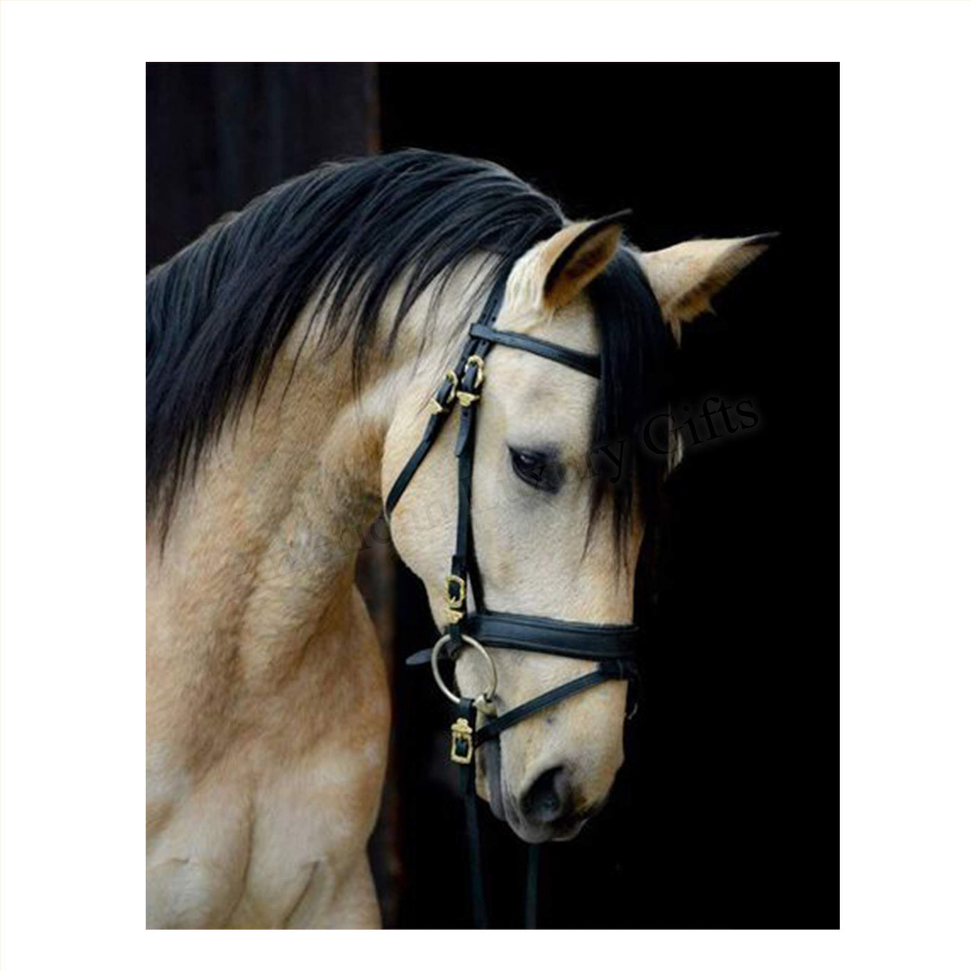 Beautiful Cream Horse- 8 x 10" Print Wall Art- Ready to Frame- Home D?cor, Nursery D?cor Wall Prints for Equestrian Themes, Children's Bedroom Wall Decor. Perfect Gift for Veterinarians & Horse Lovers