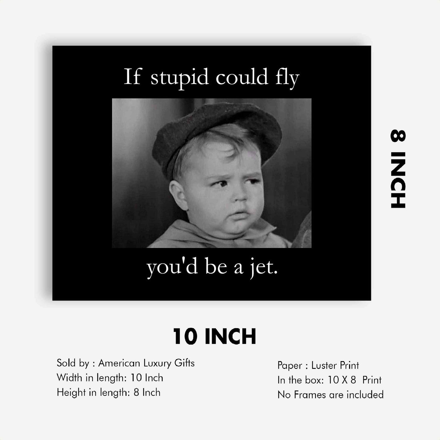 If Stupid Could Fly-You'd Be A Jet Funny Quotes Wall Art Sign -10x8" Sarcastic Poster Print-Ready to Frame. Humorous Home-Studio-Office-Desk-Cave Decor. Perfect Novelty Sign. Great Gift of Sarcasm!