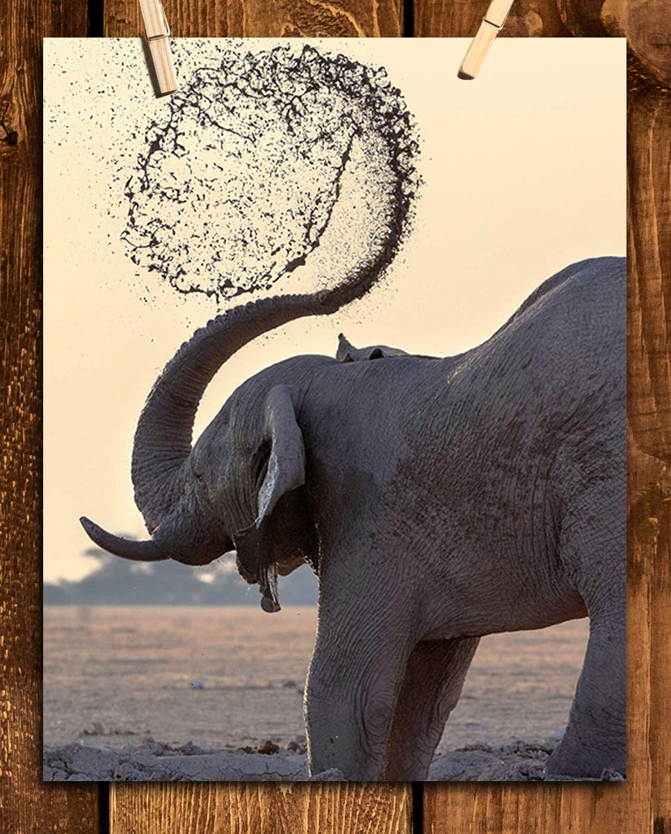 Elephant Shower At Watering Hole- 8 x 10" Print Wall Art- Ready to Frame- Home D?cor, Nursery D?cor & Wall Prints for Animal Themes & Children's Bedroom Wall Decor. Great Natural Wildlife Photo!