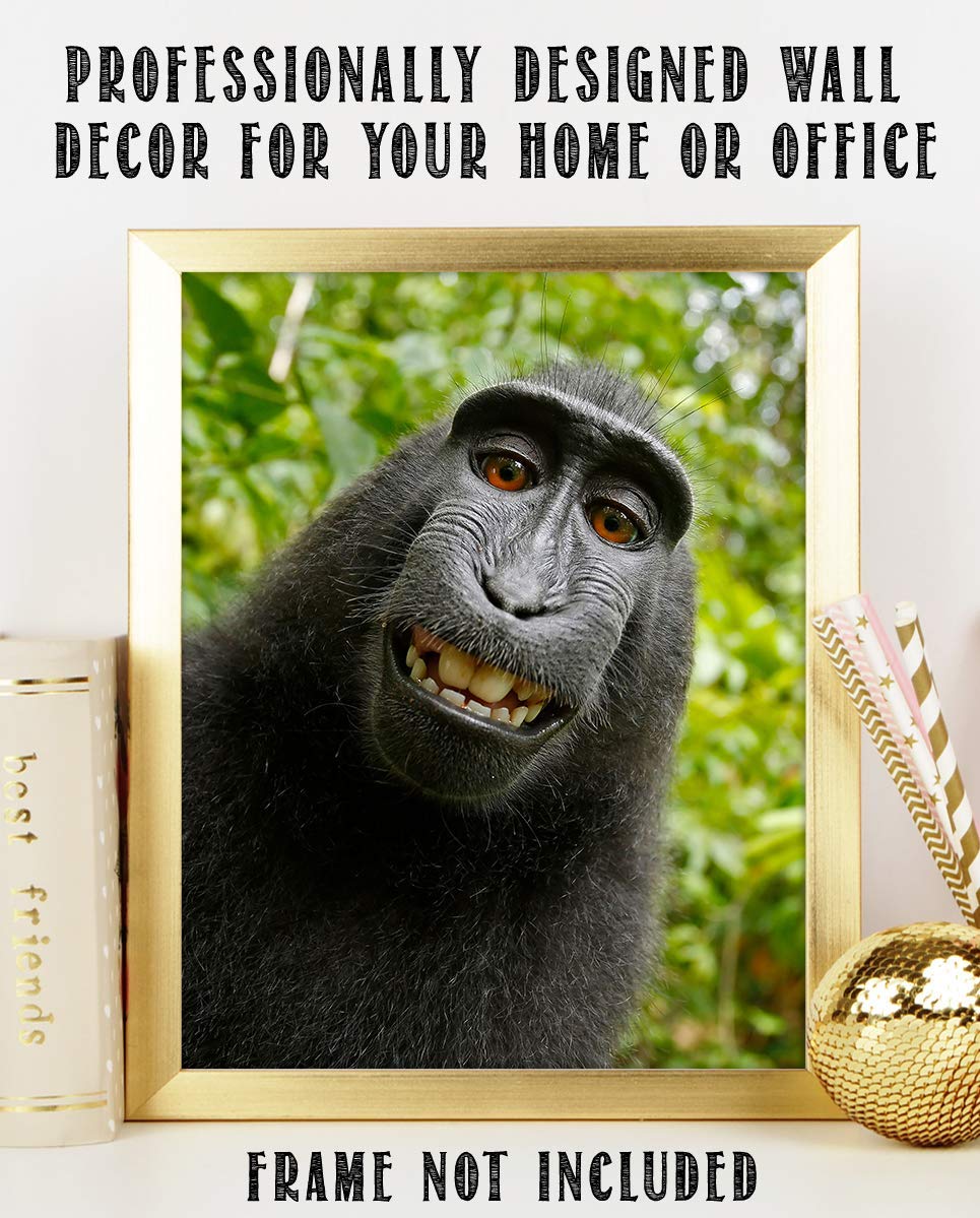 Smiling Monkey Selfie- 8 x 10" Print Wall Art- Ready to Frame- Home D?cor, Nursery D?cor &amp; Wall Prints for Animal Themes &amp; Children&