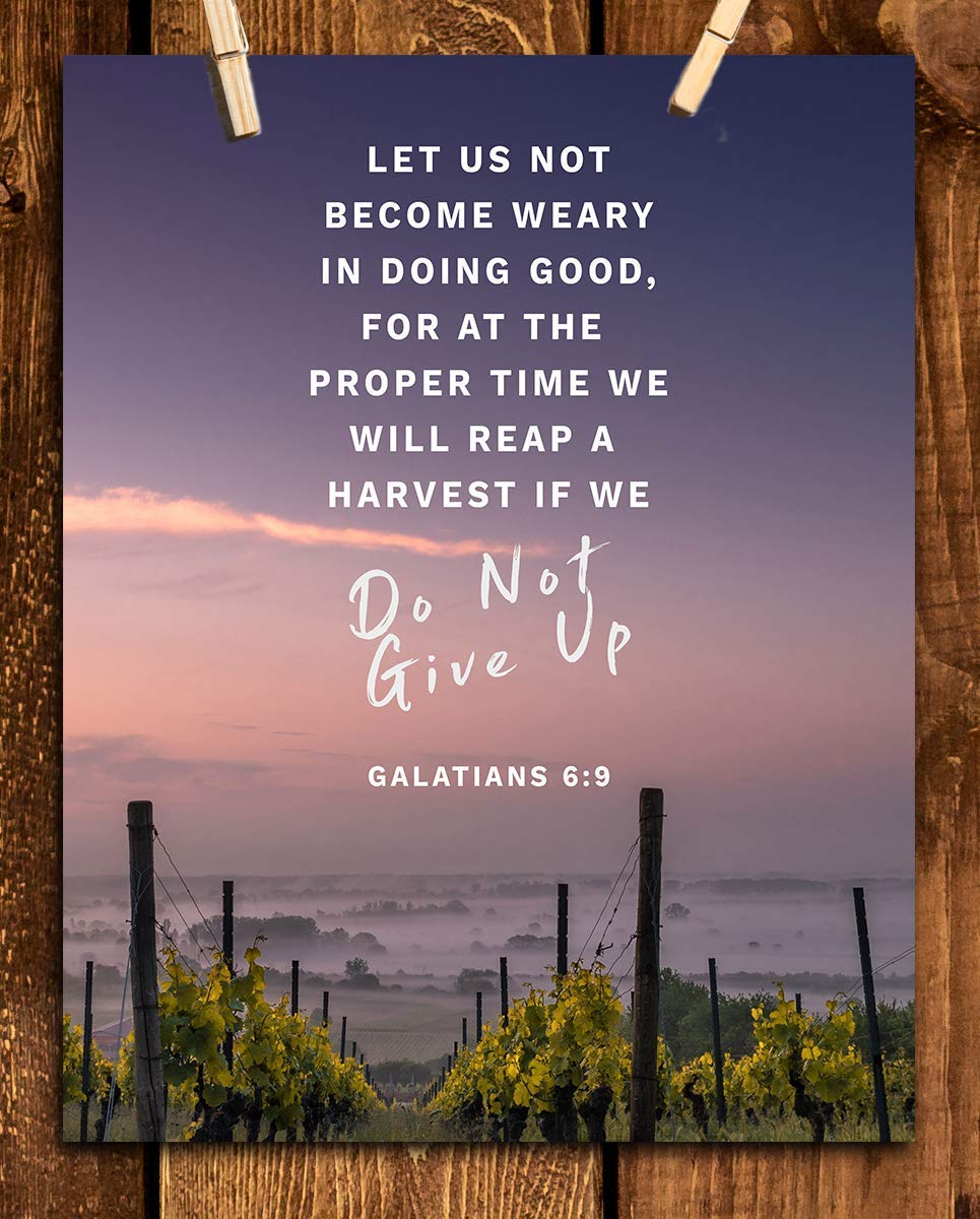 Let Us Not Become Weary- Do Not Give Up- Gal. 6:9- Bible Verse Wall Art- 8x10"-Sunset Vineyards-Scripture Wall Print- Ready to Frame. Home D?cor-Office D?cor-Christian Gifts. The Harvest is Coming!