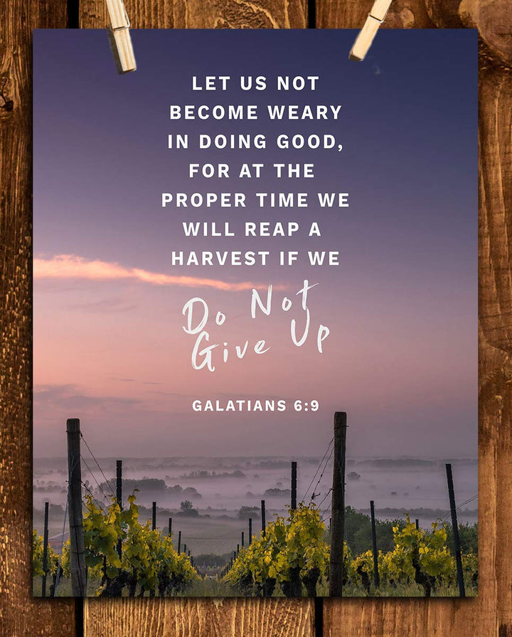 Let Us Not Become Weary- Do Not Give Up- Gal. 6:9- Bible Verse Wall Art- 8x10"-Sunset Vineyards-Scripture Wall Print- Ready to Frame. Home D?cor-Office D?cor-Christian Gifts. The Harvest is Coming!