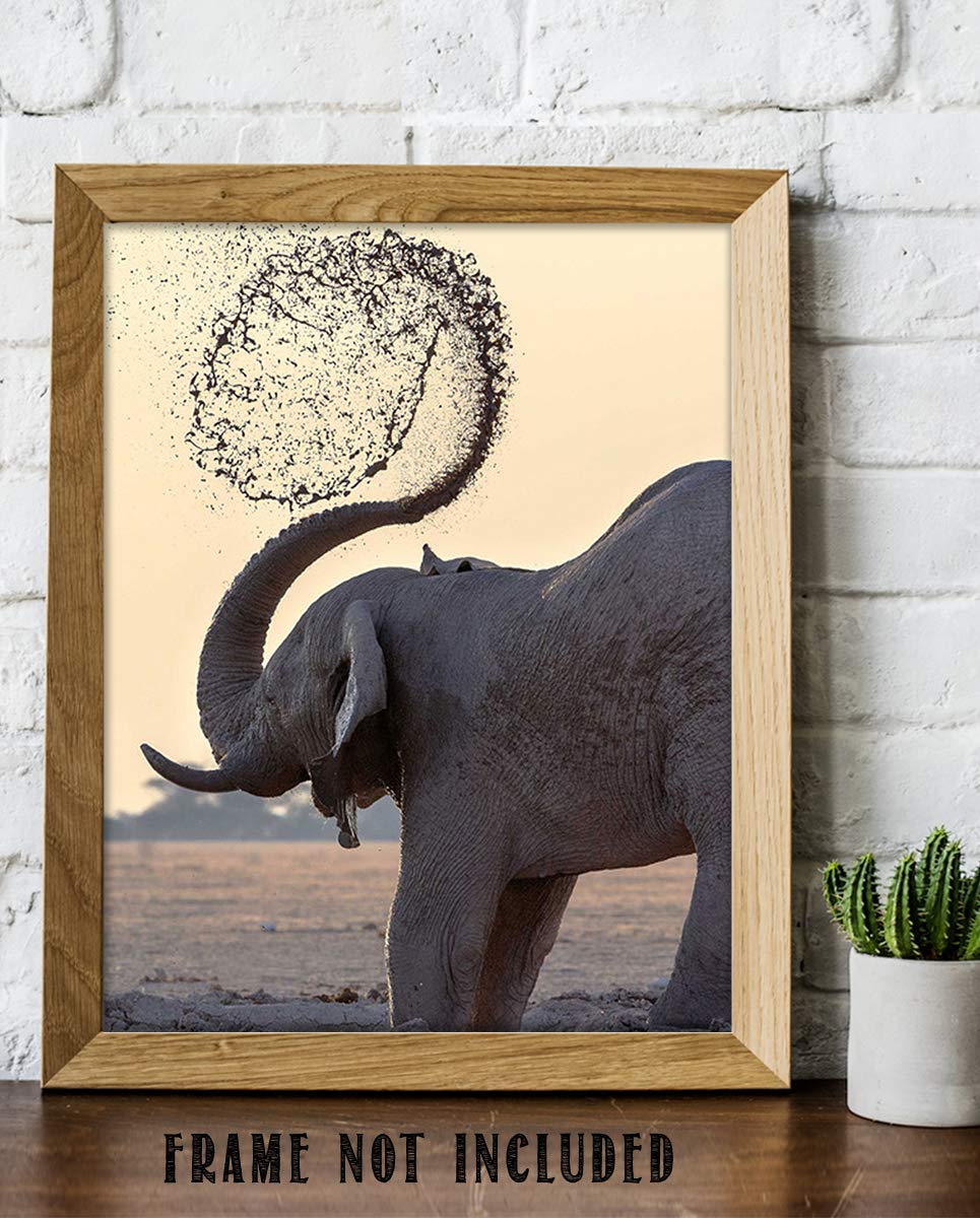 Elephant Shower At Watering Hole- 8 x 10" Print Wall Art- Ready to Frame- Home D?cor, Nursery D?cor &amp; Wall Prints for Animal Themes &amp; Children&