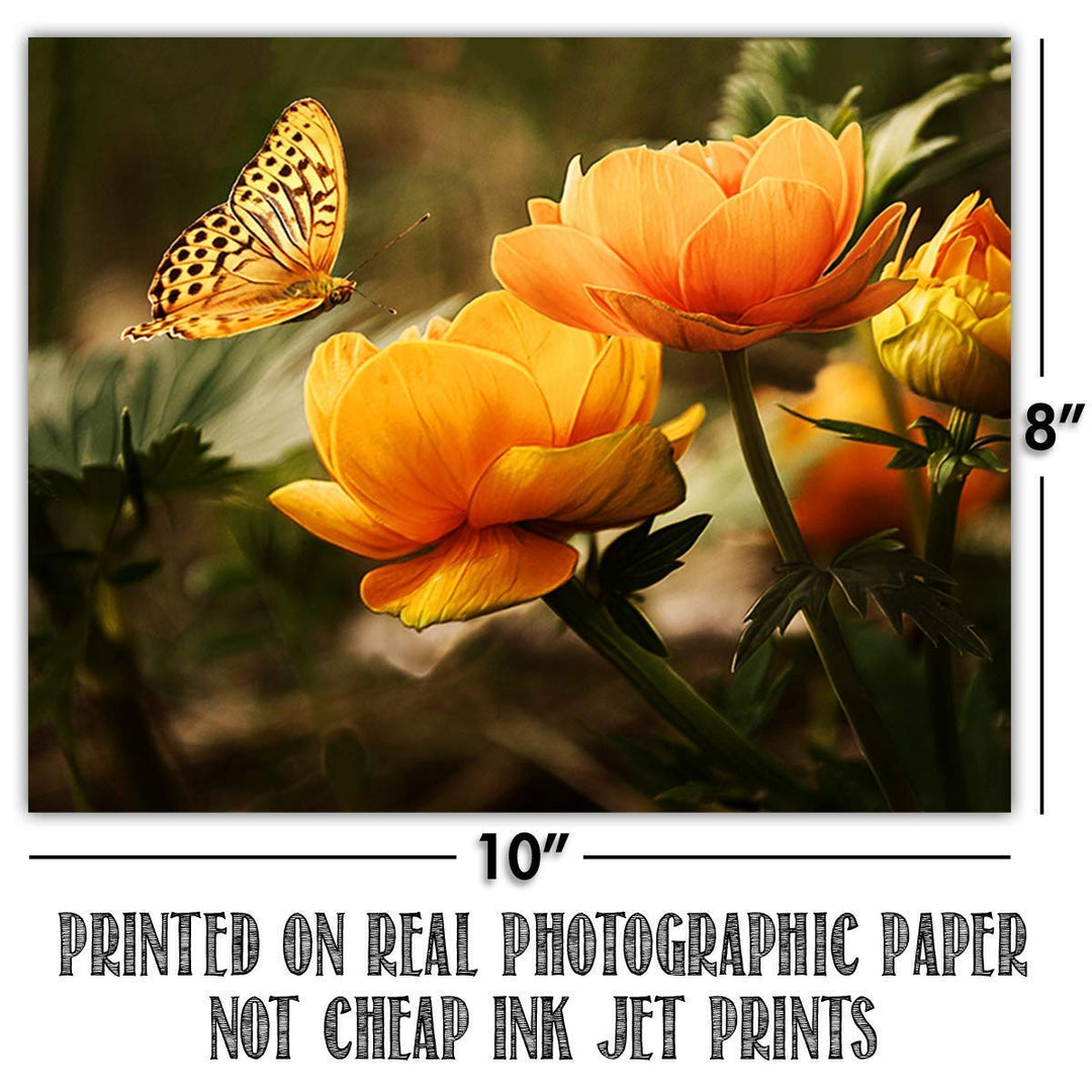 The Birds, Bees, Butterflies &amp; Blooming Blossoms Wall Art Set- (4) 8 x 10&