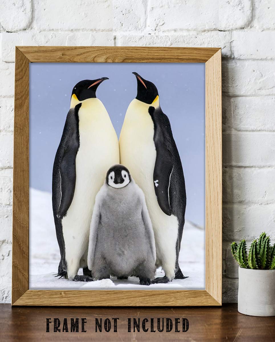 Funny Penguin Family Poster Print- 8 x 10" Print Wall Art- Ready to Frame. Home- Office D?cor, Nursery D?cor &amp; Wall Prints for Animal Themes &amp; Children&