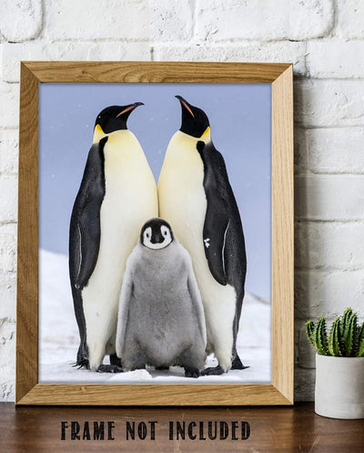 Funny Penguin Family Poster Print- 8 x 10" Print Wall Art- Ready to Frame. Home- Office D?cor, Nursery D?cor & Wall Prints for Animal Themes & Children's Bedroom Wall Decor. Will Make You Smile!