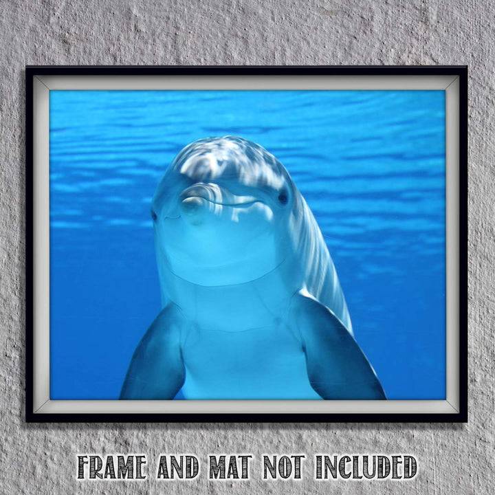 Young Dolphin Saying Hi!- 8 x 10" Print Wall Art- Ready to Frame- Home D?cor, Nursery D?cor &amp; Wall Prints for Animal &amp; Sea Themes &amp; Children&