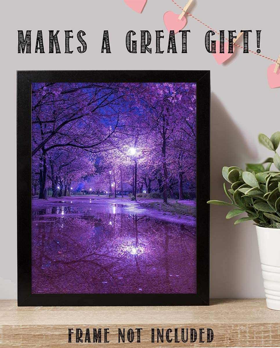 Purple Blossoms Rainy Reflections By Street Light - 8 x 10" Print Wall Art- Ready to Frame. Home D?cor, Office D?cor &amp; Wall Print. Rainy Night Reflections Makes Great Gift for Purple Flower Lovers.