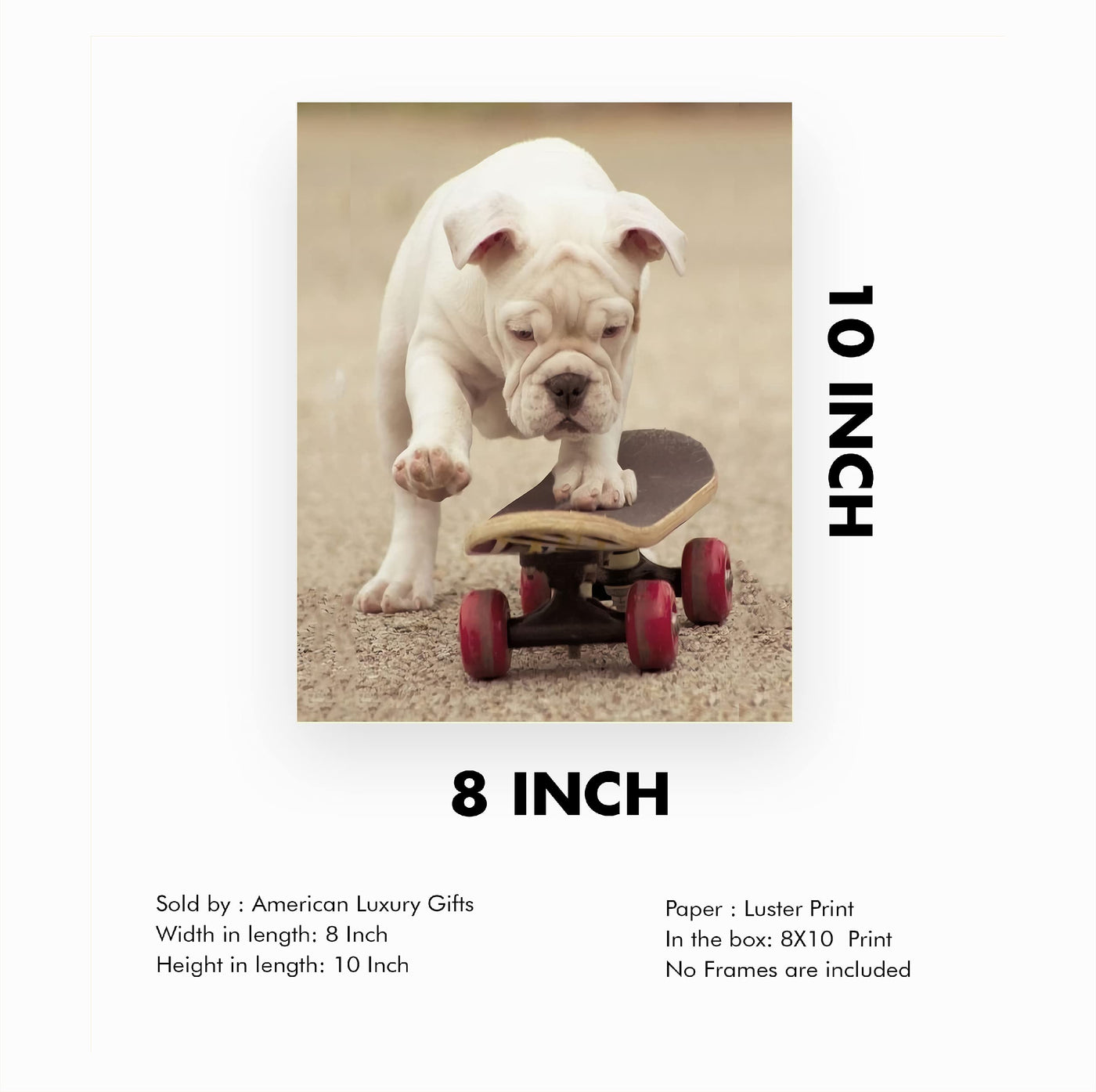 Cute Bulldog Puppy Riding A Skateboard-Funny Dog Photo Print-8 x 10" Wall Art Decor-Ready to Frame. Perfect Pet Wall Art for Home-Kitchen-Cave-Bar-Garage. Great Gift for English Bulldog Lovers!