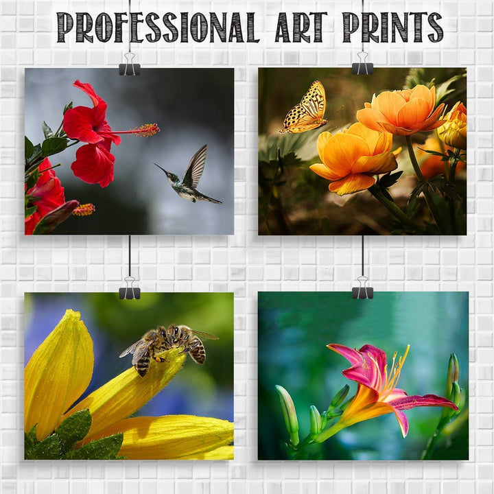 The Birds, Bees, Butterflies &amp; Blooming Blossoms Wall Art Set- (4) 8 x 10&