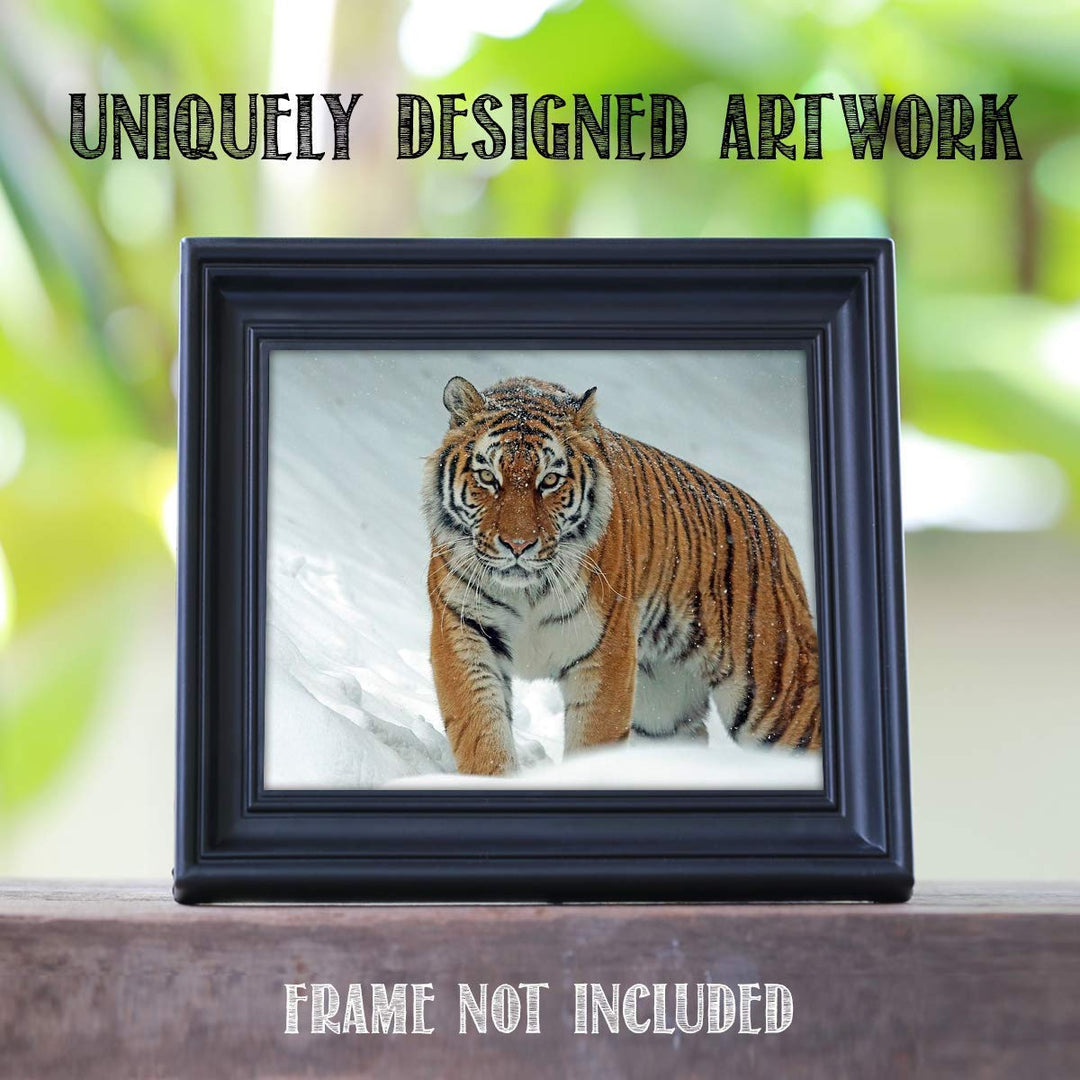 Siberian Tiger in the Snow - 8 x 10 Print Wall Art- Ready to Frame- Home D?cor, Office D?cor &amp; Wall Prints for Animal, Safari &amp; Jungle Theme Wall Decor. Feel the Thrill of the Majestic Tiger Inside!