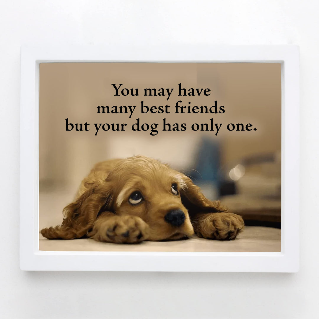 Your Dog Only Has One Best Friend Inspirational Pet Wall Art Sign -10 x 8" Cute Typographic Puppy Picture Print -Ready to Frame. Home-Vet&
