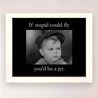 If Stupid Could Fly-You'd Be A Jet Funny Quotes Wall Art Sign -10x8" Sarcastic Poster Print-Ready to Frame. Humorous Home-Studio-Office-Desk-Cave Decor. Perfect Novelty Sign. Great Gift of Sarcasm!