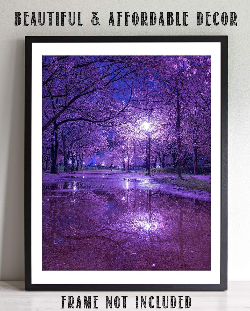 Purple Blossoms Rainy Reflections By Street Light - 8 x 10" Print Wall Art- Ready to Frame. Home D?cor, Office D?cor &amp; Wall Print. Rainy Night Reflections Makes Great Gift for Purple Flower Lovers.