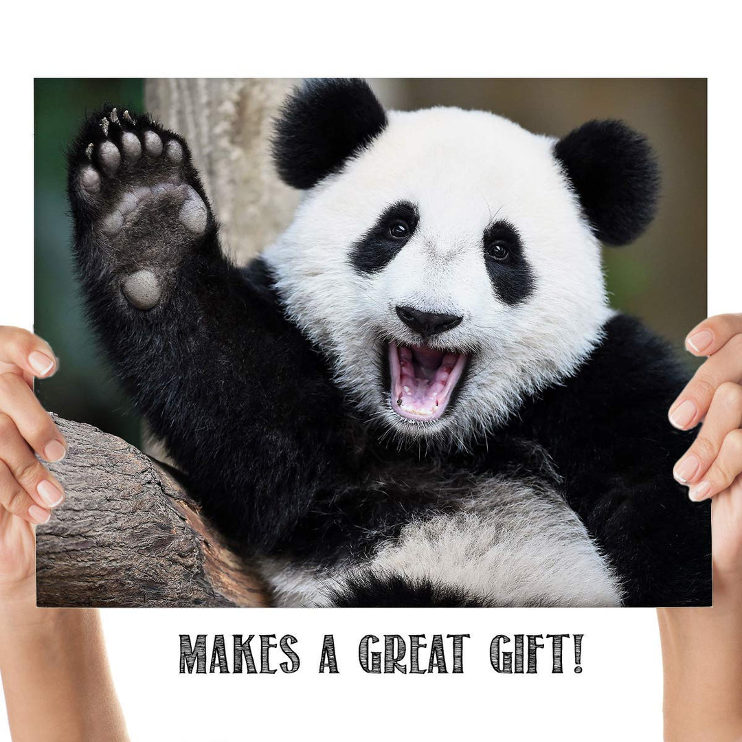 Happy Panda-Waving Hi!- Animal Poster Print-10 x 8" Print Wall Art- Ready to Frame. Home &amp; Office D?cor. Nursery D?cor &amp; Wall Prints for Animal Themes &amp; Children&