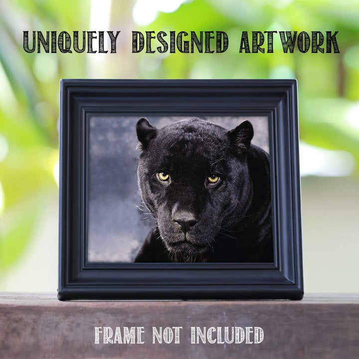 Intimidating Black Panther-8 x 10- Wall Art- Ready to Frame- Home D?cor, Office D?cor &amp; Wall Prints for Animal, Safari &amp; Jungle Theme Wall Decor. Feel the Fright of the Big Black Cat! Great Gift!