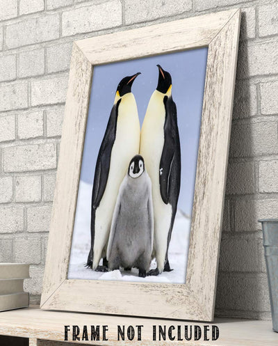 Funny Penguin Family Poster Print- 8 x 10" Print Wall Art- Ready to Frame. Home- Office D?cor, Nursery D?cor & Wall Prints for Animal Themes & Children's Bedroom Wall Decor. Will Make You Smile!