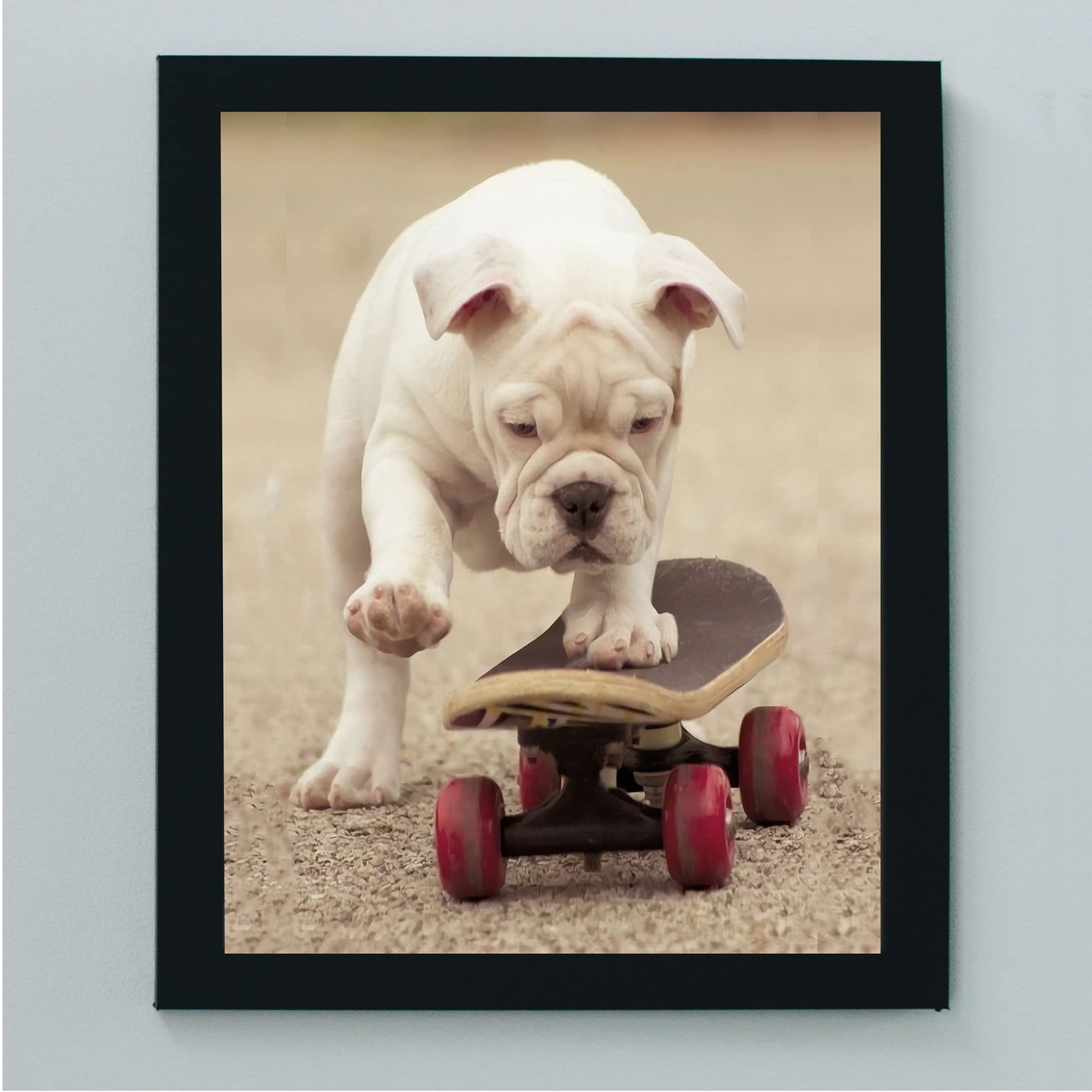 Cute Bulldog Puppy Riding A Skateboard-Funny Dog Photo Print-8 x 10" Wall Art Decor-Ready to Frame. Perfect Pet Wall Art for Home-Kitchen-Cave-Bar-Garage. Great Gift for English Bulldog Lovers!