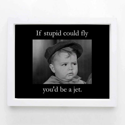 If Stupid Could Fly-You'd Be A Jet Funny Quotes Wall Art Sign -10x8" Sarcastic Poster Print-Ready to Frame. Humorous Home-Studio-Office-Desk-Cave Decor. Perfect Novelty Sign. Great Gift of Sarcasm!