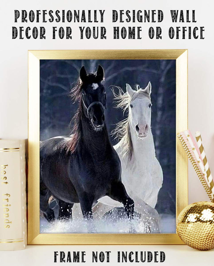 Horses Playing in Snow- 8 x 10" Print Wall Art-Ready to Frame. Beautiful Black &amp; White Horses Frolicking. Home-Office-Bar D?cor for Equestrian Themes &amp; Children&