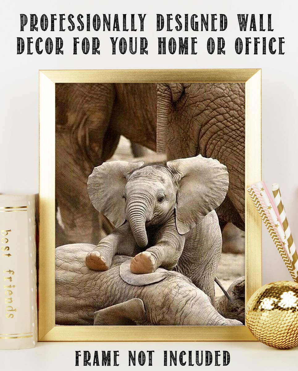 Adorable Baby Elephant Playing with Mom- 8 x 10" Print Wall Art- Ready to Frame- Home D?cor, Nursery D?cor &amp; Wall Prints for Animal Themes &amp; Children&