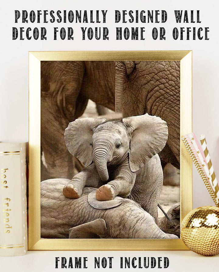 Adorable Baby Elephant Playing with Mom- 8 x 10" Print Wall Art- Ready to Frame- Home D?cor, Nursery D?cor &amp; Wall Prints for Animal Themes &amp; Children&