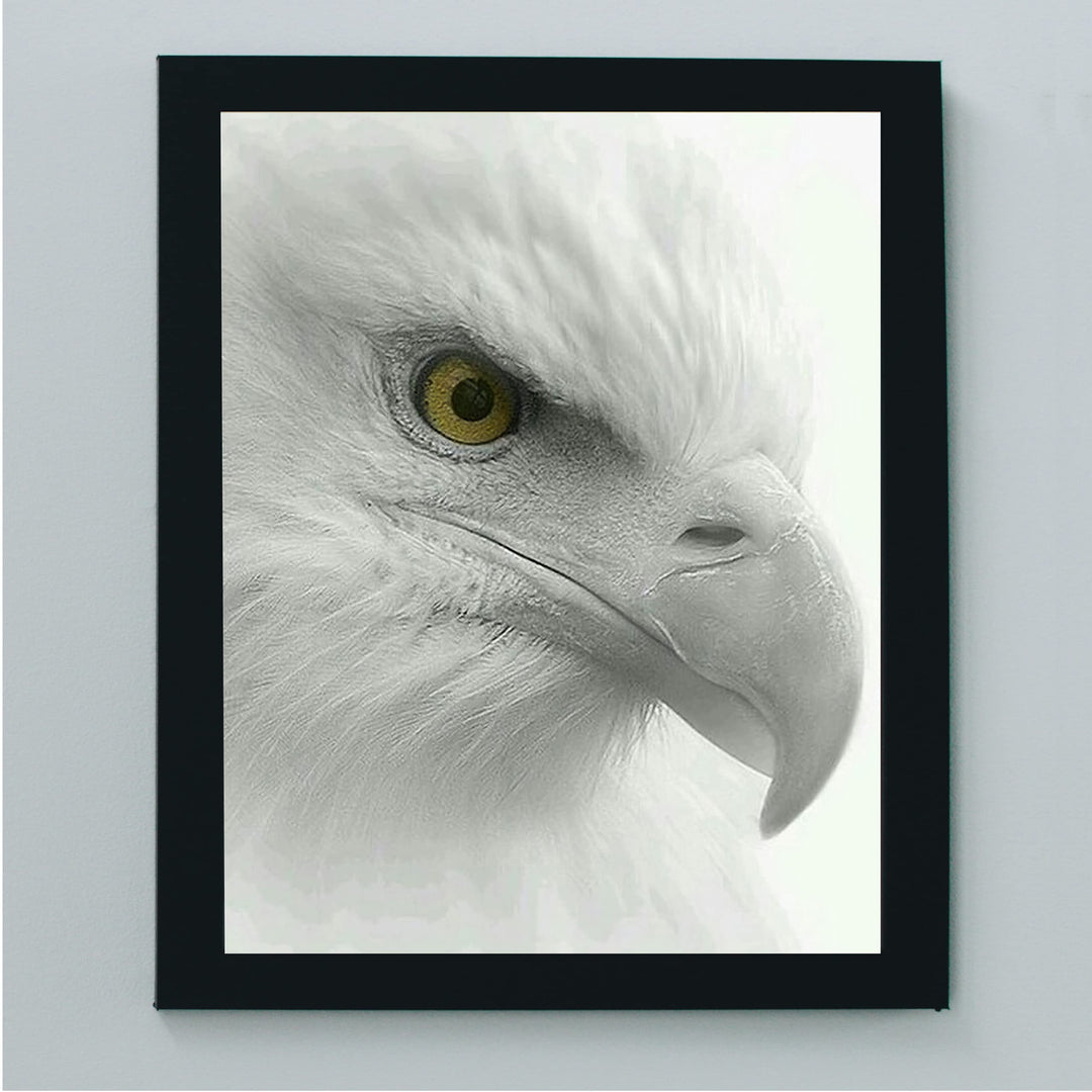 Fearless Bald Eagle Motivational American Wall Art -8 x 10" Patriotic Eagle Photo Print-Ready to Frame. Inspirational Home-Office-School-Cave Decor. Great for Animal &amp; Political Theme Wall Decor!
