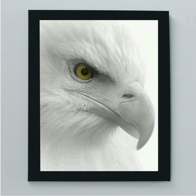 Fearless Bald Eagle Motivational American Wall Art -8 x 10" Patriotic Eagle Photo Print-Ready to Frame. Inspirational Home-Office-School-Cave Decor. Great for Animal & Political Theme Wall Decor!