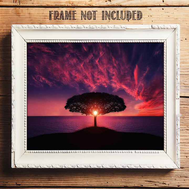 Tree of Life Sunset- 8 x 10"- Print Wall Art- Ready to Frame. Home D?cor, Office D?cor &amp; Nursery Decor. Gorgeous Sun Magically Projecting Thru Tree Overlooking Ocean. Great Art Print for Any Room.