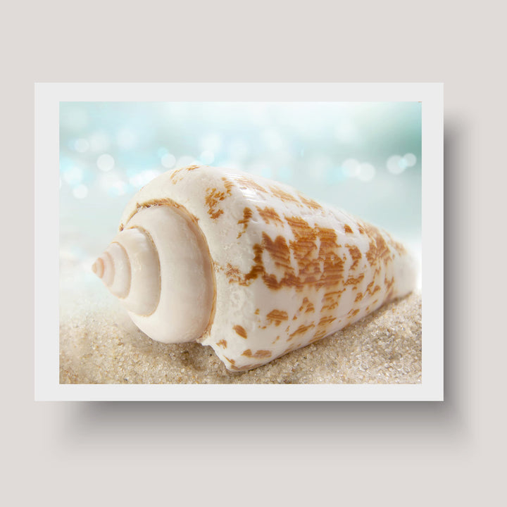 Seashell on the Shore- Beach Wall Art Decor -10 x 8" Sea Shell in the Sand Photo Print -Ready to Frame. Ocean &amp; Coastal Themed Decor for Home-Office-Studio-Beach House. Great Nautical Gift!