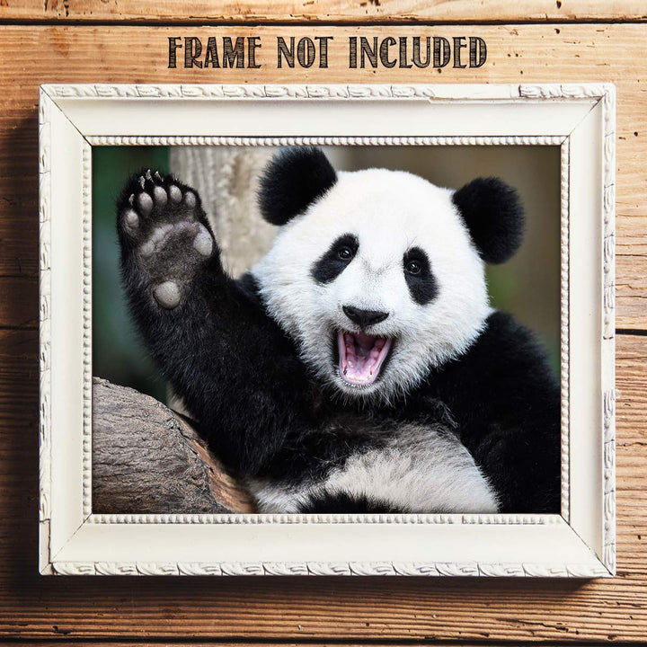 Happy Panda-Waving Hi!- Animal Poster Print-10 x 8" Print Wall Art- Ready to Frame. Home &amp; Office D?cor. Nursery D?cor &amp; Wall Prints for Animal Themes &amp; Children&