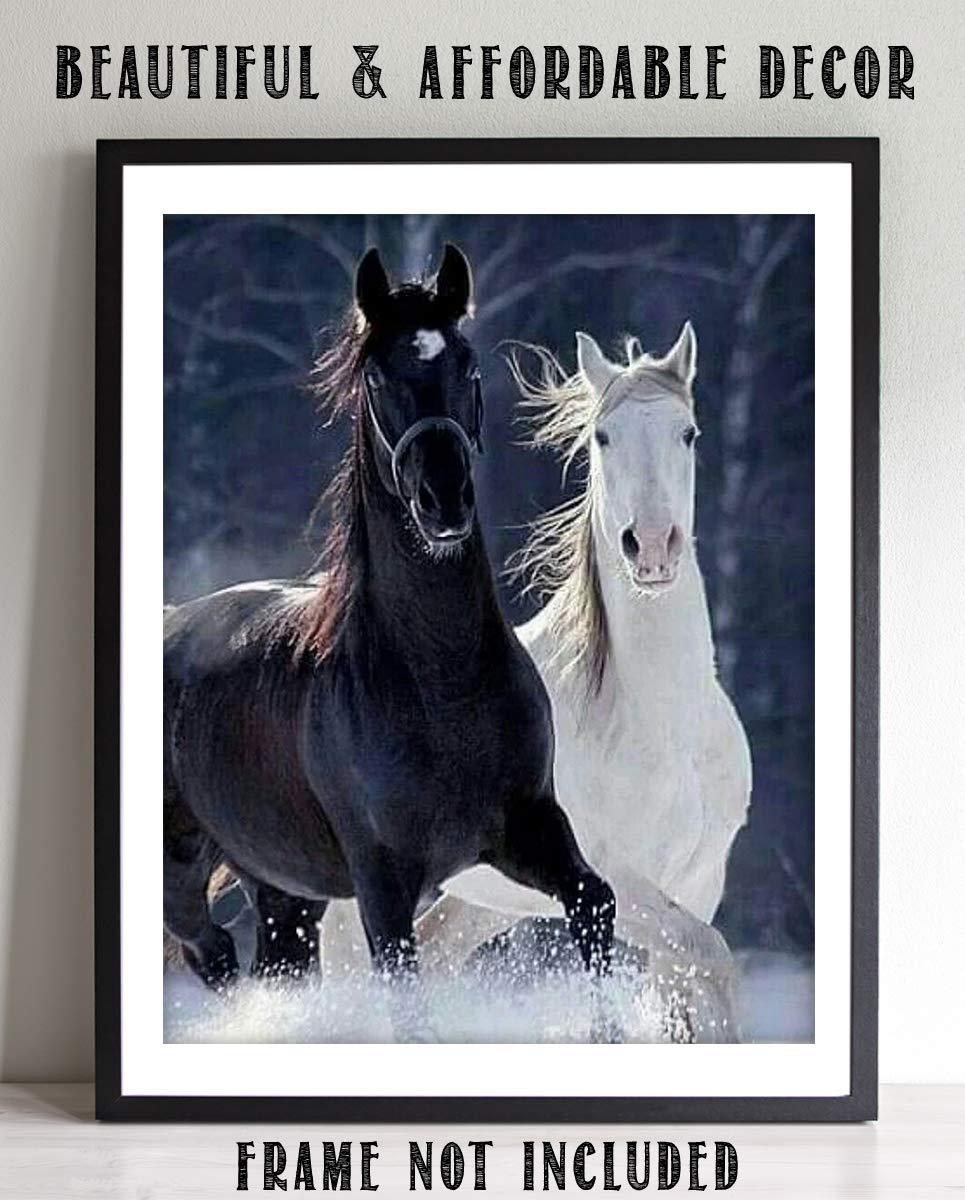 Horses Playing in Snow- 8 x 10" Print Wall Art-Ready to Frame. Beautiful Black &amp; White Horses Frolicking. Home-Office-Bar D?cor for Equestrian Themes &amp; Children&