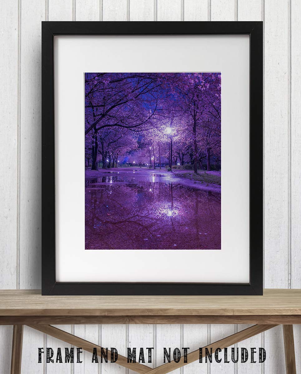 Purple Blossoms Rainy Reflections By Street Light - 8 x 10" Print Wall Art- Ready to Frame. Home D?cor, Office D?cor &amp; Wall Print. Rainy Night Reflections Makes Great Gift for Purple Flower Lovers.