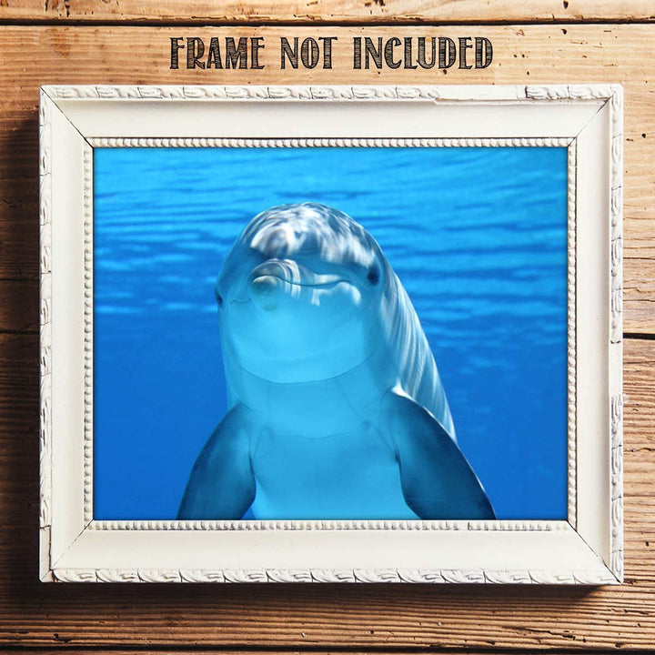 Young Dolphin Saying Hi!- 8 x 10" Print Wall Art- Ready to Frame- Home D?cor, Nursery D?cor &amp; Wall Prints for Animal &amp; Sea Themes &amp; Children&