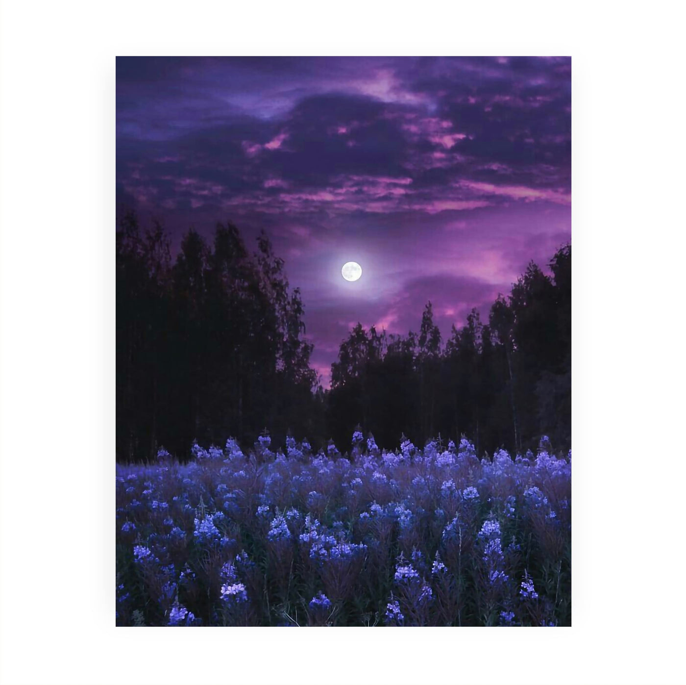 Moon in Lavender Field Inspirational Wall Art -8 x 10" Purple Full Moon Over Flower Field Picture Print -Ready to Frame. Home-Office-Living Room Decor. Perfect for Nature Themes & Relaxing Prints.