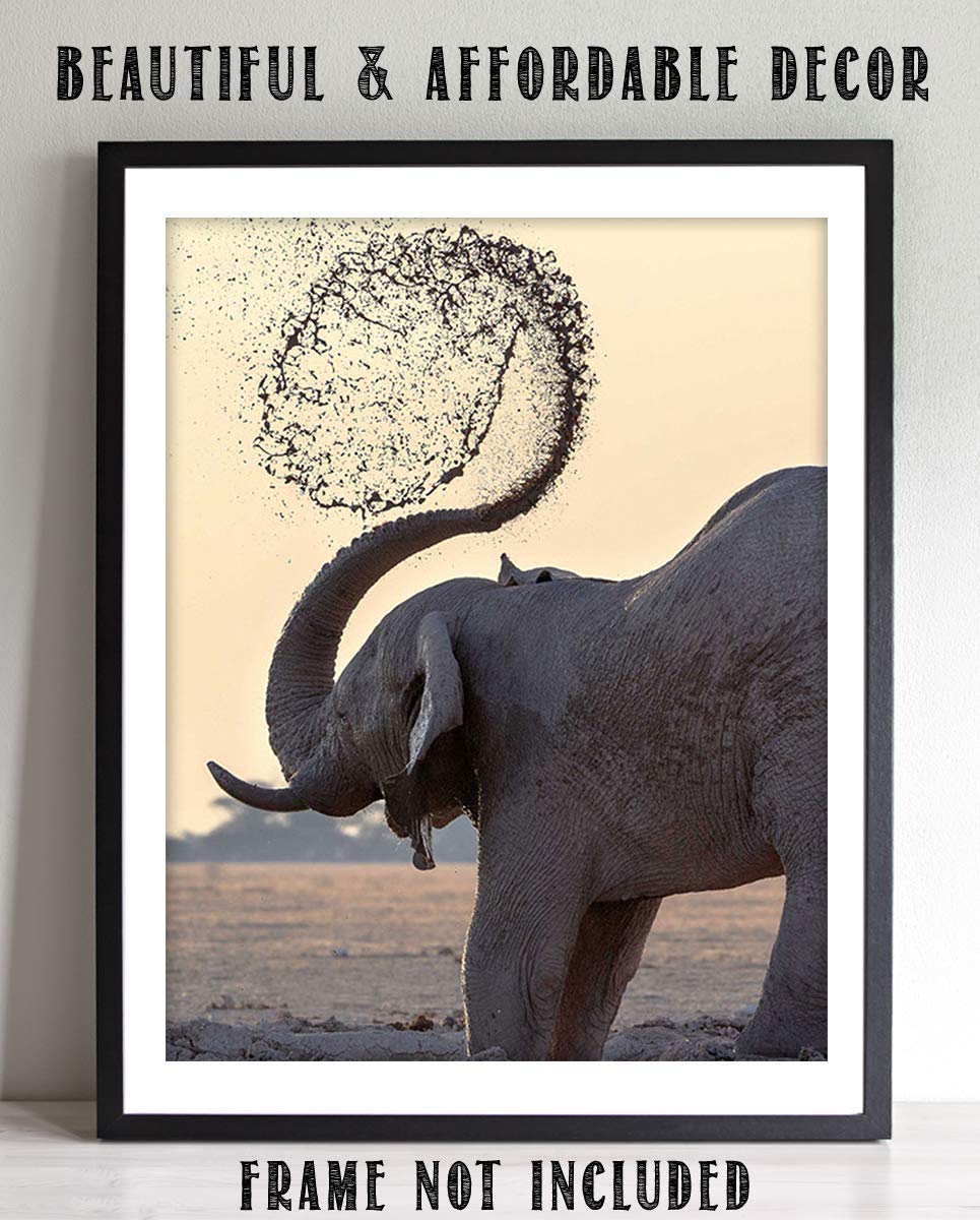 Elephant Shower At Watering Hole- 8 x 10" Print Wall Art- Ready to Frame- Home D?cor, Nursery D?cor & Wall Prints for Animal Themes & Children's Bedroom Wall Decor. Great Natural Wildlife Photo!