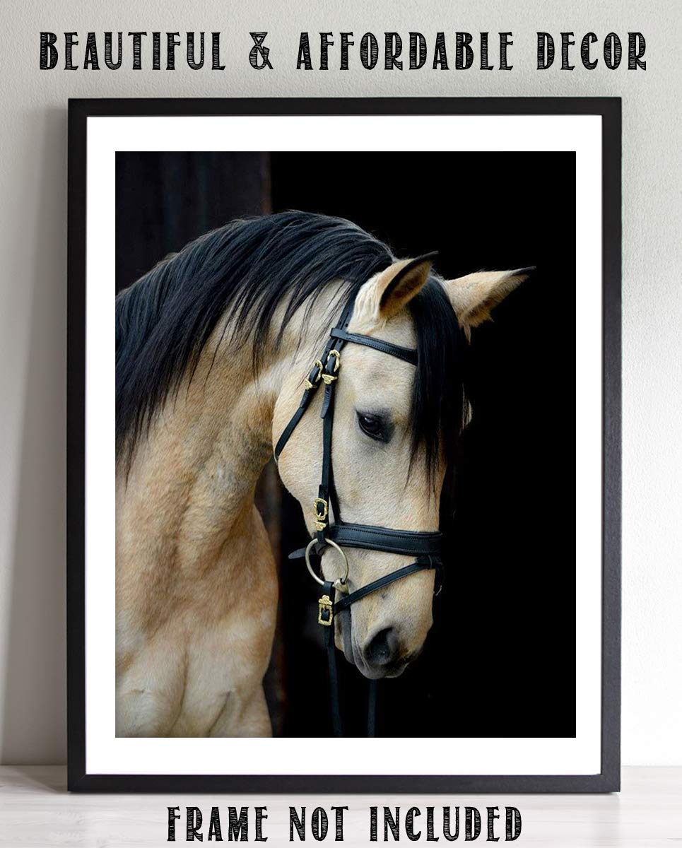 Beautiful Cream Horse- 8 x 10" Print Wall Art- Ready to Frame- Home D?cor, Nursery D?cor Wall Prints for Equestrian Themes, Children's Bedroom Wall Decor. Perfect Gift for Veterinarians & Horse Lovers