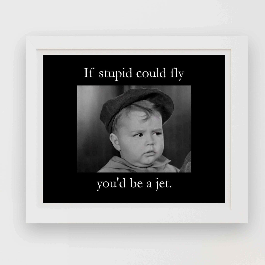 If Stupid Could Fly-You&