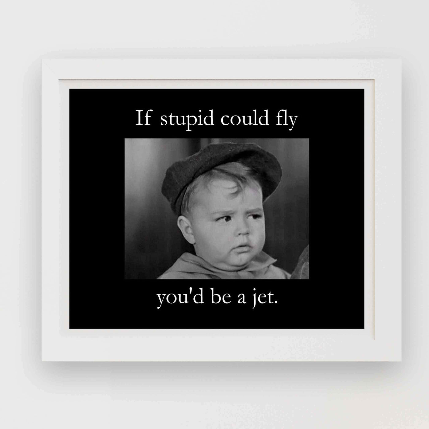 If Stupid Could Fly-You'd Be A Jet Funny Quotes Wall Art Sign -10x8" Sarcastic Poster Print-Ready to Frame. Humorous Home-Studio-Office-Desk-Cave Decor. Perfect Novelty Sign. Great Gift of Sarcasm!