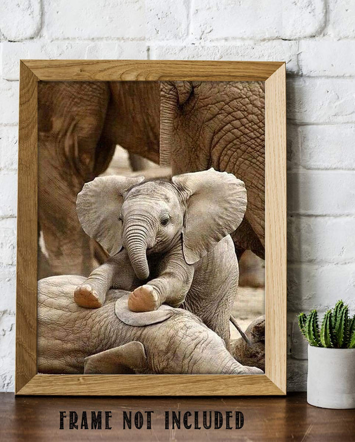 Adorable Baby Elephant Playing with Mom- 8 x 10" Print Wall Art- Ready to Frame- Home D?cor, Nursery D?cor &amp; Wall Prints for Animal Themes &amp; Children&