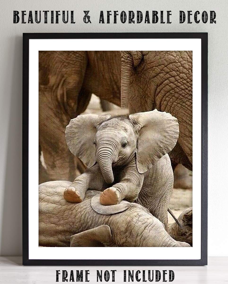 Adorable Baby Elephant Playing with Mom- 8 x 10" Print Wall Art- Ready to Frame- Home D?cor, Nursery D?cor &amp; Wall Prints for Animal Themes &amp; Children&