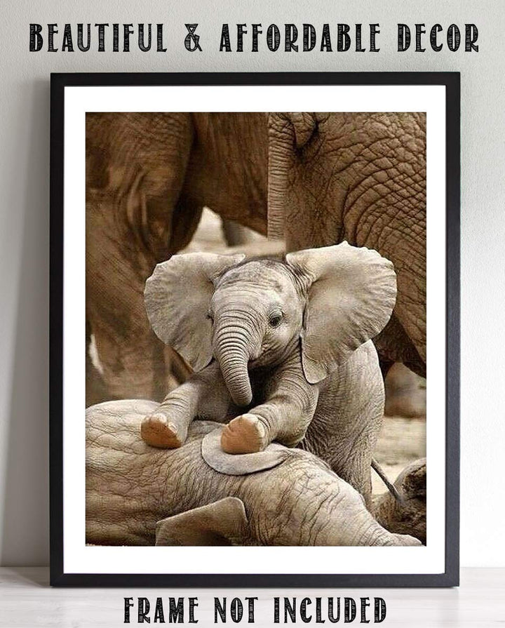Adorable Baby Elephant Playing with Mom- 8 x 10" Print Wall Art- Ready to Frame- Home D?cor, Nursery D?cor &amp; Wall Prints for Animal Themes &amp; Children&