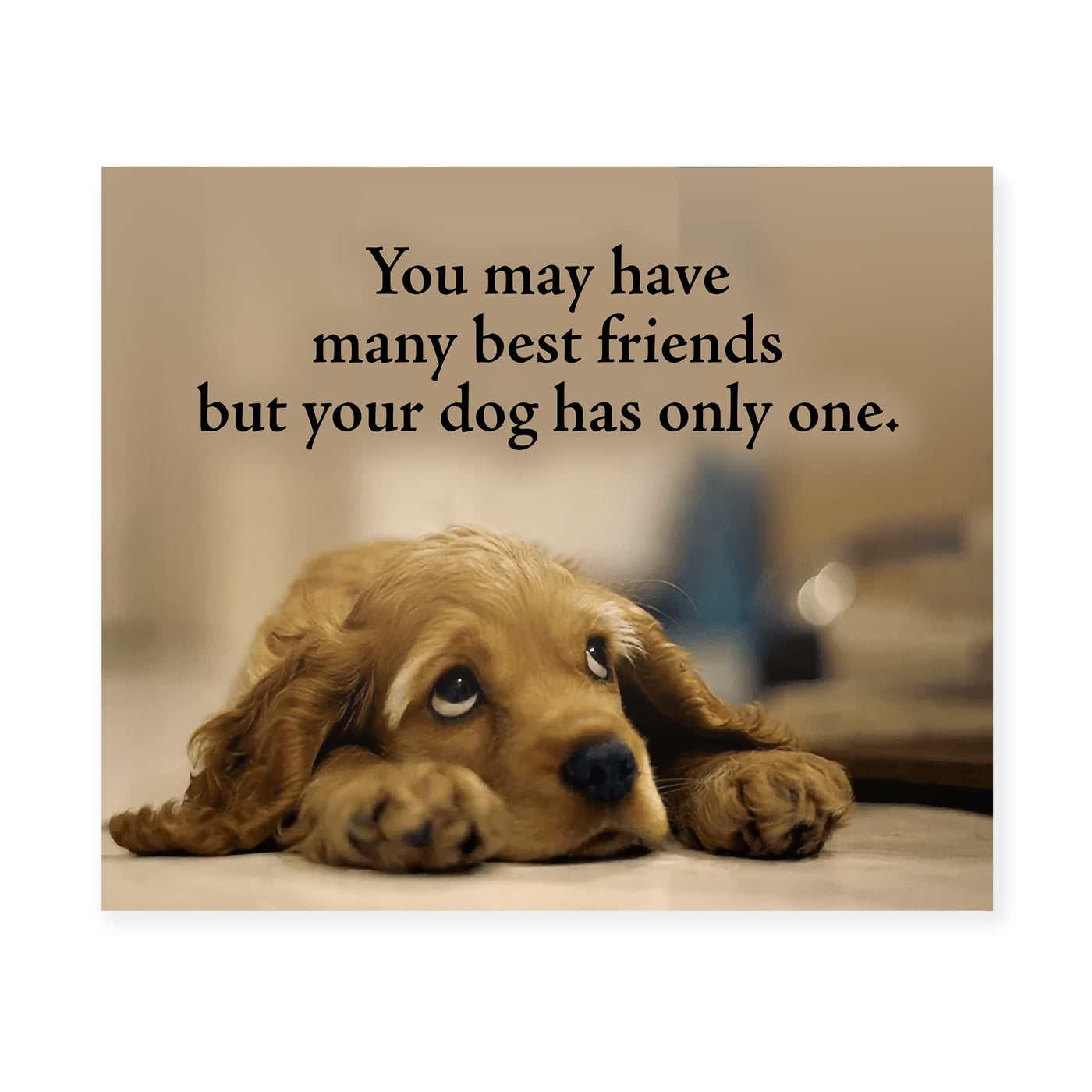 Your Dog Only Has One Best Friend Inspirational Pet Wall Art Sign -10 x 8" Cute Typographic Puppy Picture Print -Ready to Frame. Home-Vet's Office Decor. Great Gift & Reminder for All Dog Lovers!