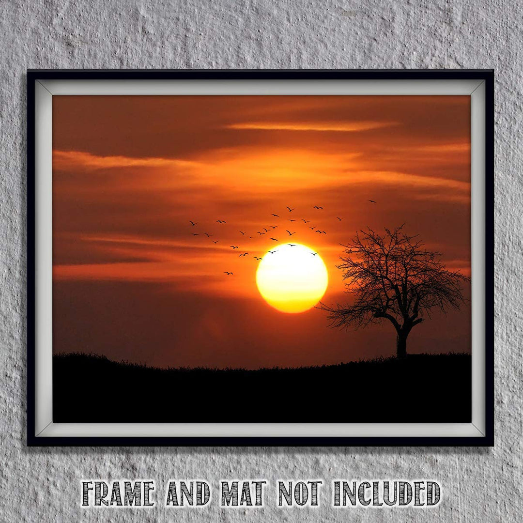 Sunset on African Plains- 8 x 10"- Print Wall Art- Ready to Frame. Home D?cor, Office D?cor &amp; Nursery Decor. Gorgeous Sunset with Tree &amp; Birds on Serengeti. Great Gift for Safari Lovers.